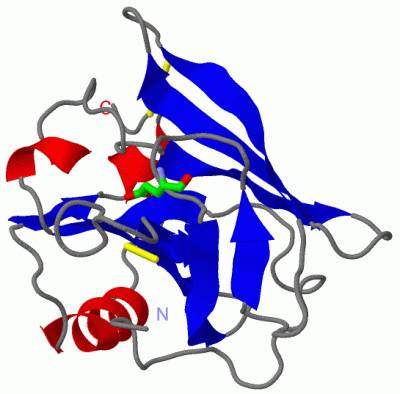 Image Asym./Biol. Unit - manually