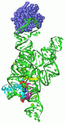 Image Asym./Biol. Unit - manually