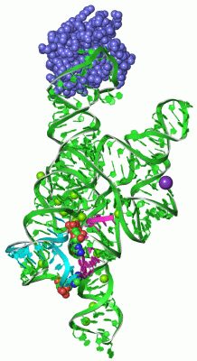 Image Asym./Biol. Unit - manually