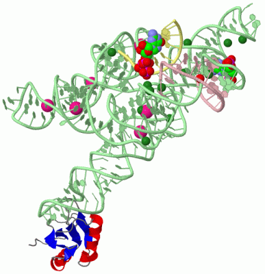 Image Asym./Biol. Unit - manually