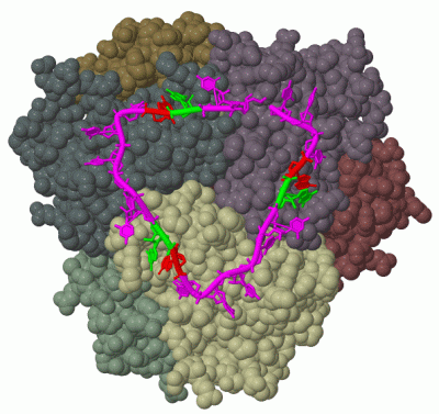 Image Biol.Unit 1 - manually