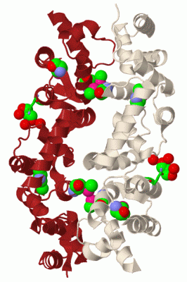 Image Biol.Unit 1 - manually