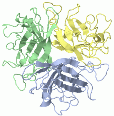 Image Biol.Unit 1 - manually