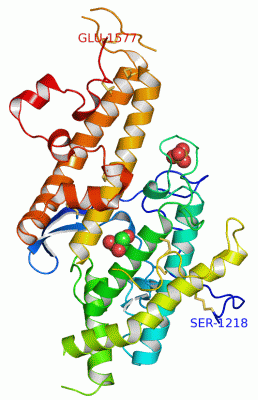 Image Asym./Biol. Unit - manually