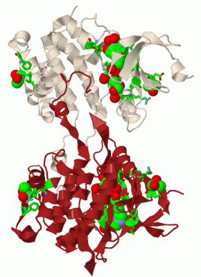 Image Biol.Unit 1 - manually