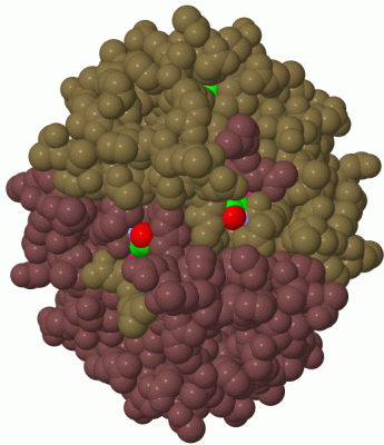 Image Biol.Unit 1 - manually