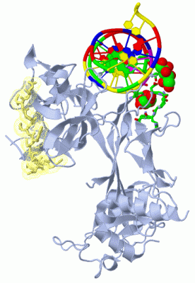 Image Asym./Biol. Unit - manually