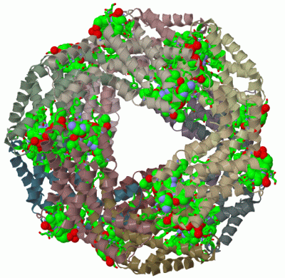 Image Biol.Unit 1 - manually