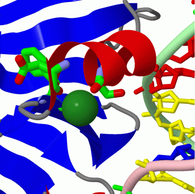 Image Asym./Biol. Unit - manually