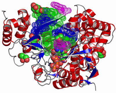 Image Asym./Biol. Unit - manually