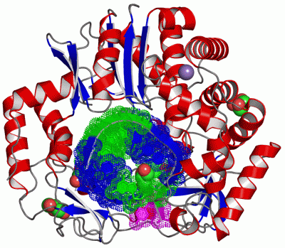 Image Asym./Biol. Unit - manually