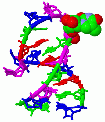 Image Biol.Unit 3 - manually