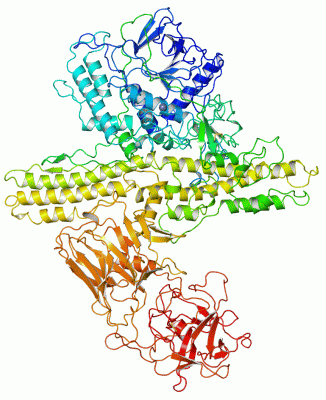 Image Asym./Biol. Unit - manually