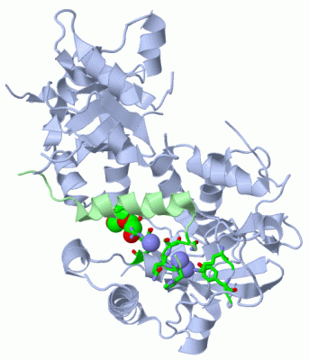 Image Asym./Biol. Unit - manually