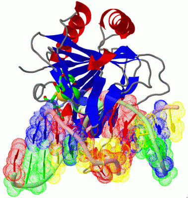 Image Asym./Biol. Unit - manually