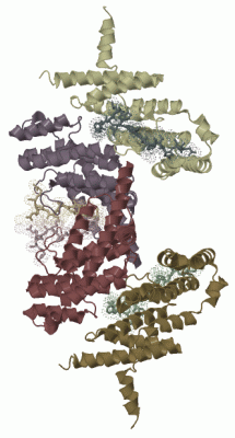 Image Biol.Unit 1 - manually