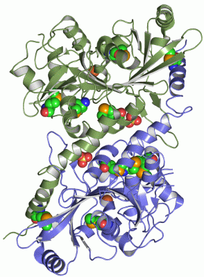 Image Asym./Biol. Unit - manually