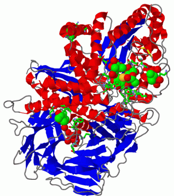 Image Asym./Biol. Unit - manually