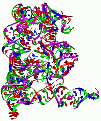 Image Asym./Biol. Unit - manually