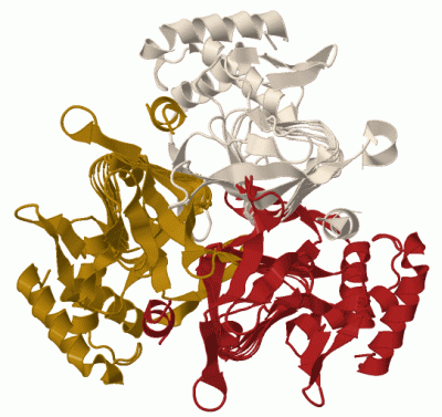 Image Biol.Unit 1 - manually