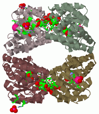 Image Biol.Unit 1 - manually