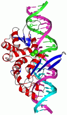 Image Asym./Biol. Unit - manually