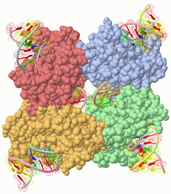 Image Asym./Biol. Unit - manually