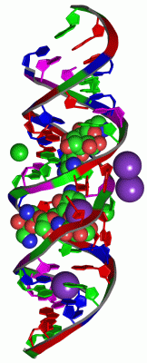 Image Asym./Biol. Unit - manually