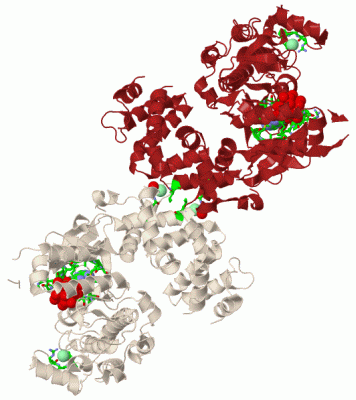 Image Biol.Unit 1 - manually