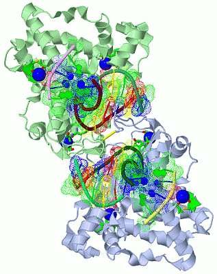 Image Biol.Unit 1 - manually