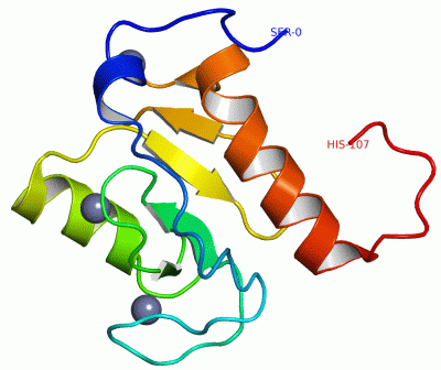 Image Asym./Biol. Unit - manually