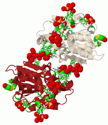 Image Biol.Unit 1 - manually