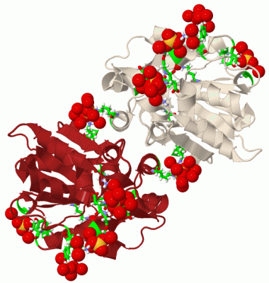 Image Biol.Unit 1 - manually