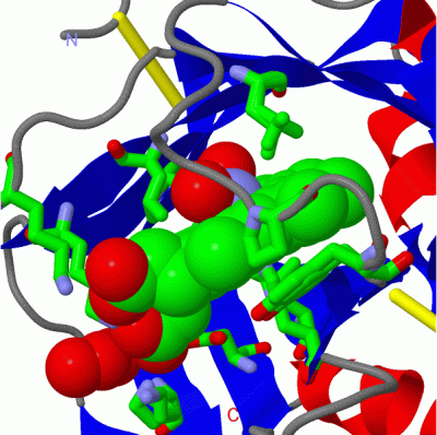 Image Asym./Biol. Unit - manually