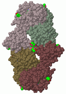 Image Biol.Unit 1 - manually