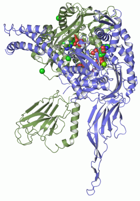 Image Asym./Biol. Unit - manually