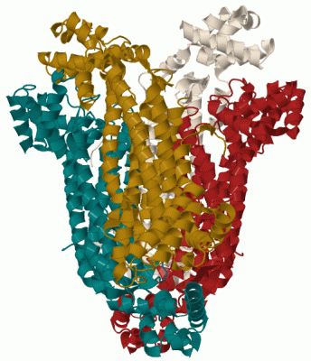 Image Biol.Unit 1 - manually