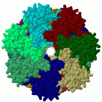 Image Asym./Biol. Unit - manually