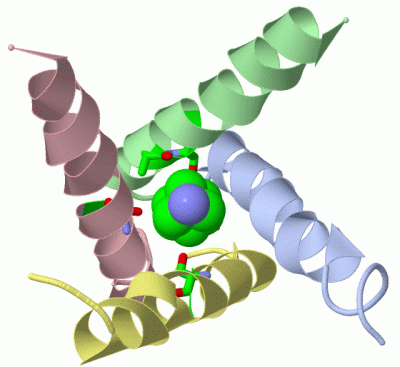 Image Asym./Biol. Unit - manually