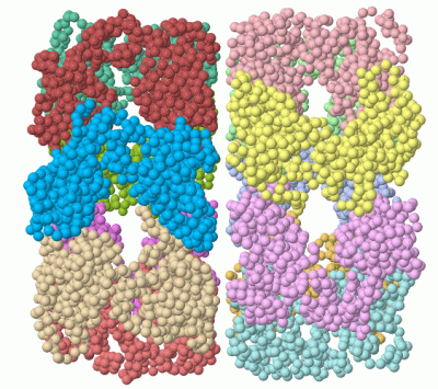 Image Asym./Biol. Unit - manually