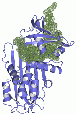 Image Asym./Biol. Unit - manually