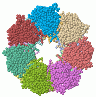 Image Asym./Biol. Unit - manually