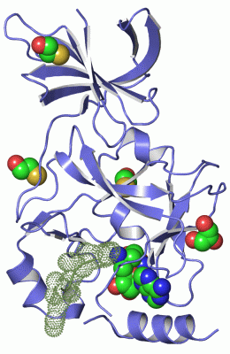 Image Asym./Biol. Unit - manually