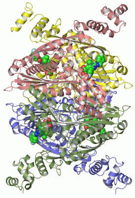 Image Asym./Biol. Unit - manually