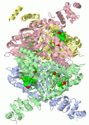 Image Asym./Biol. Unit - manually