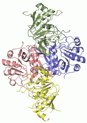 Image Asym./Biol. Unit - manually