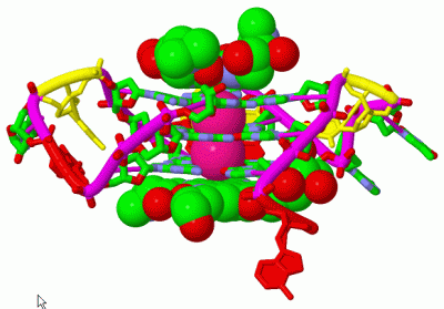 Image Biol.Unit 1 - manually