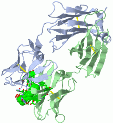 Image Biol.Unit 1 - manually