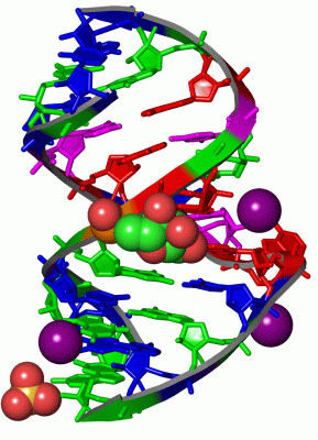 Image Asym./Biol. Unit - manually