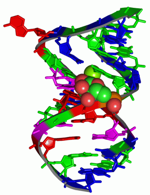 Image Asym./Biol. Unit - manually